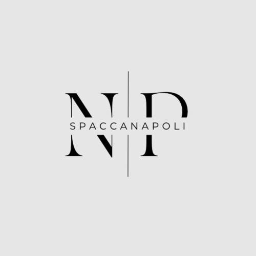 Np Spaccanapoli 外观 照片
